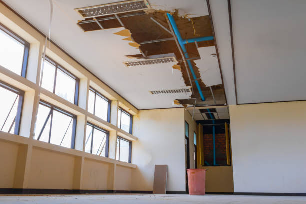 Pion Hills, CA Water damage restoration Pros