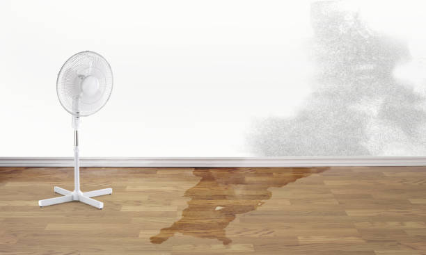 Best Local water damage restoration  in Pion Hills, CA