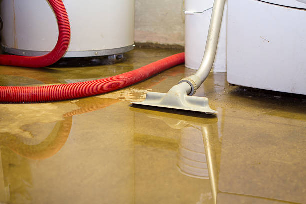 Best Sewage cleanup and water damage restoration  in Pion Hills, CA