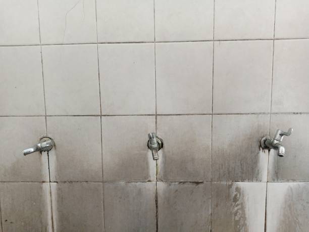 Best Carpet water damage restoration  in Pion Hills, CA