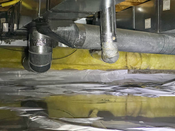 Best Water damage contractors near me  in Pion Hills, CA